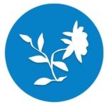 categoria-consultoria-ambiental